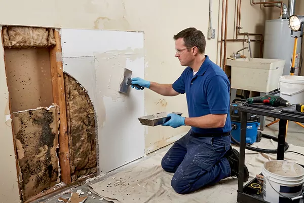Mold and Drywall Repair South Jordan