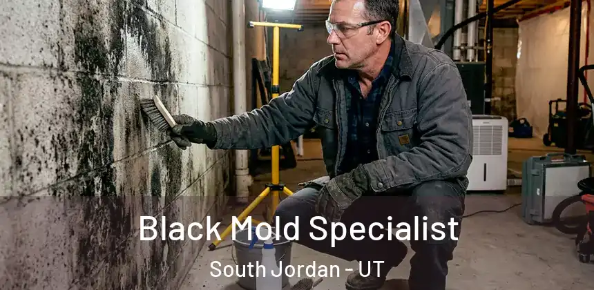  Black Mold Specialist South Jordan - UT