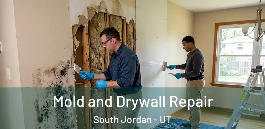 Mold and Drywall Repair South Jordan - UT