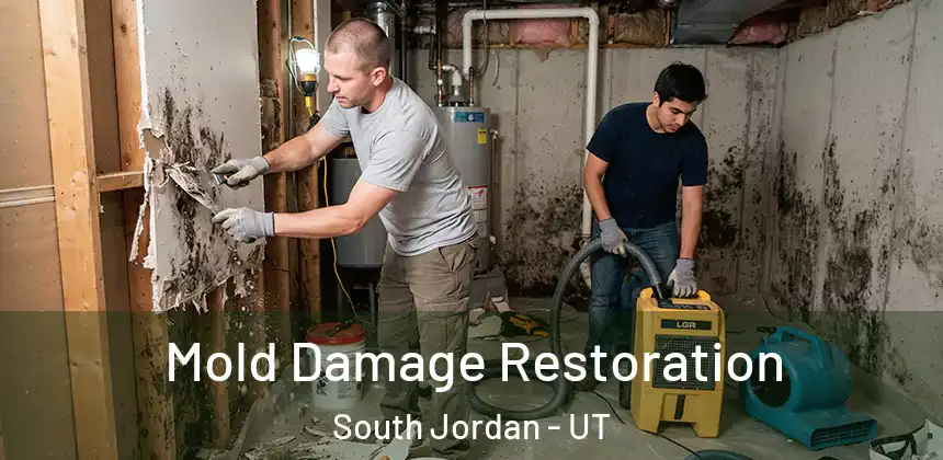Mold Damage Restoration South Jordan - UT