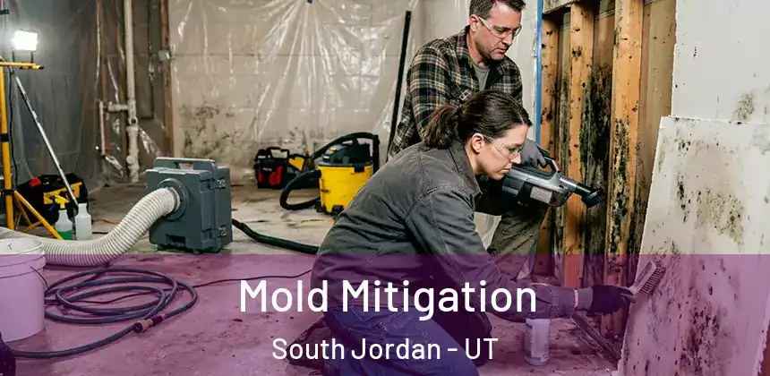 Mold Mitigation South Jordan - UT