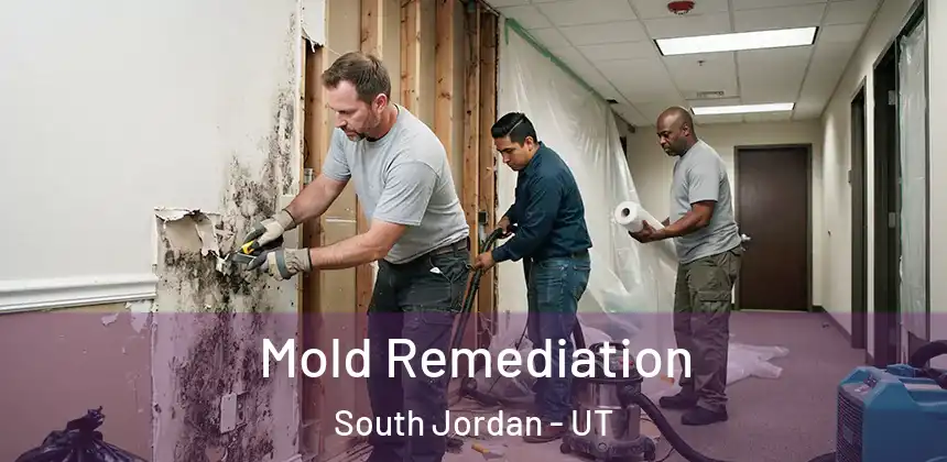 Mold Remediation South Jordan - UT