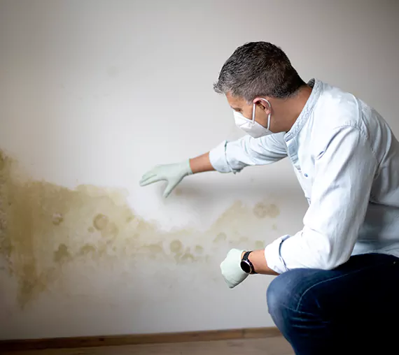 Mold Removal Service in South Jordan, UT