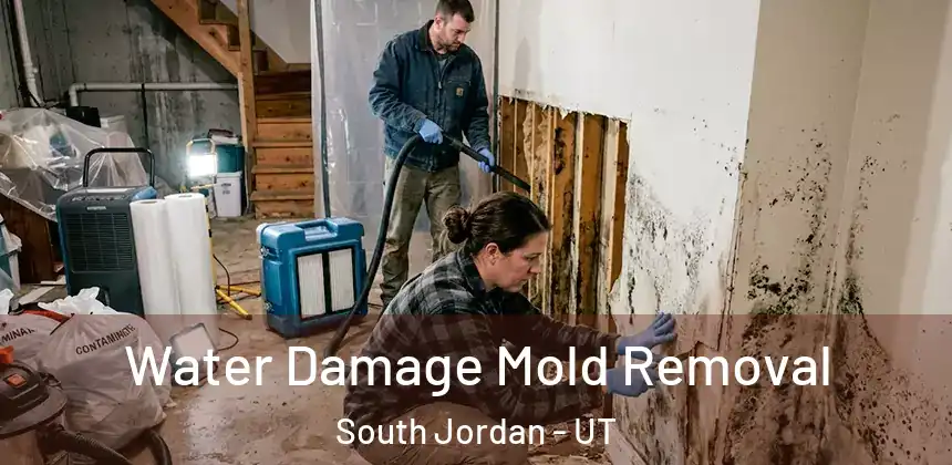Water Damage Mold Removal South Jordan - UT