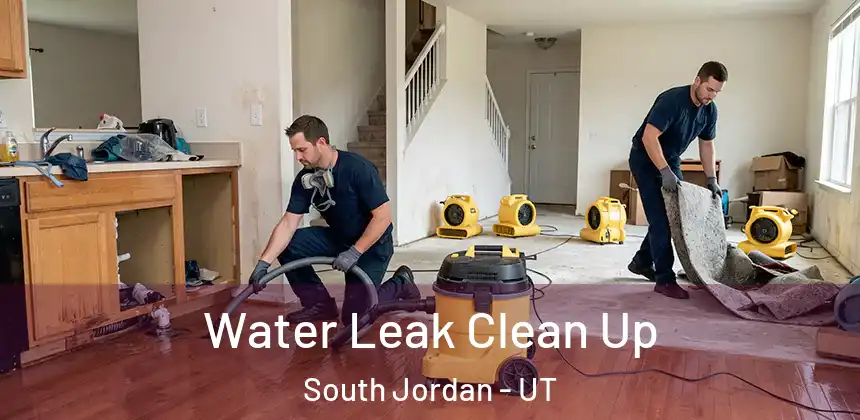  Water Leak Clean Up South Jordan - UT