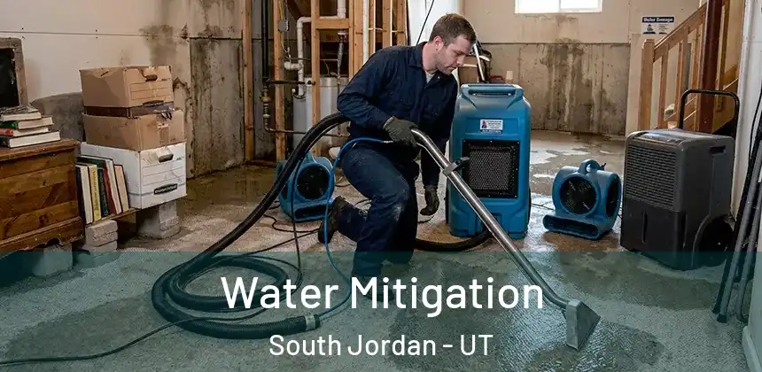Water Mitigation South Jordan - UT